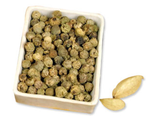 authentic-yogic-cures